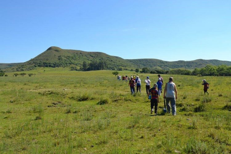 Movimiento Scout: ¡Siempre listos!