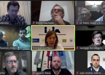 El buen manejo sigue siendo fundamental para lograr buenos resultados de preñez vacuna