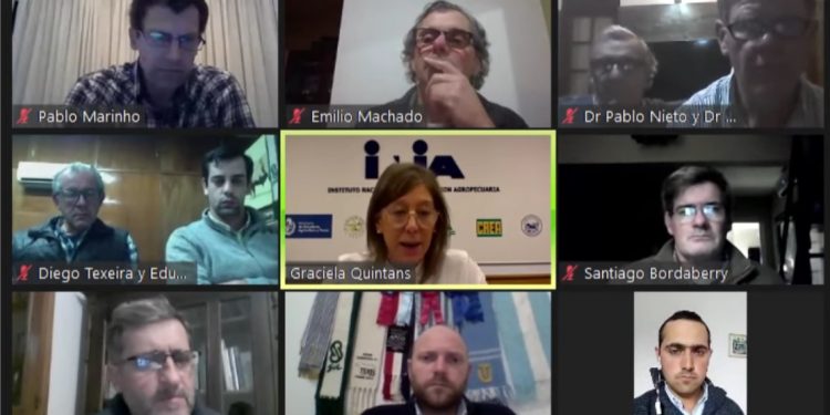 El buen manejo sigue siendo fundamental para lograr buenos resultados de preñez vacuna