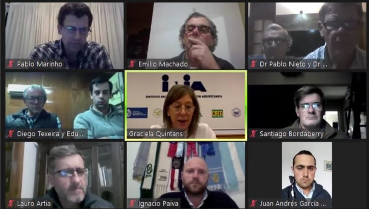 El buen manejo sigue siendo fundamental para lograr buenos resultados de preñez vacuna