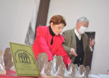 Abiertas las postulaciones al Concurso Literario “Dr. Alberto Manini Ríos”