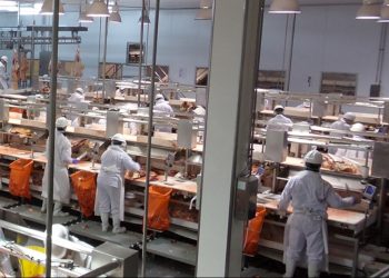 Edil duraznense advierte sobre caída de la actividad de BPU