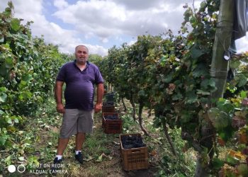 “Detrás de un vino elaborado por la cooperativa CAVA, hay trabajo de 23 familias uruguayas”