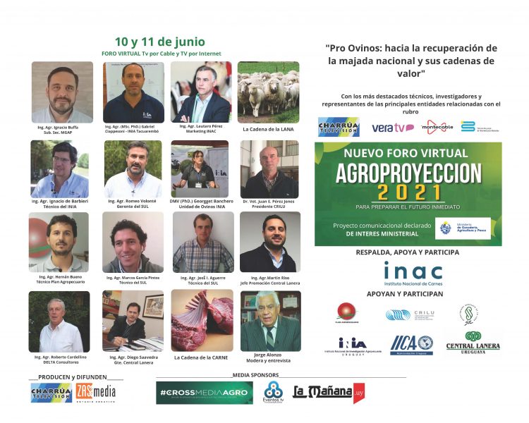 Foro Virtual: PRO OVINOS, hacia la recuperación de la majada nacional y sus cadenas de valor