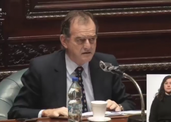 El senador Manini Ríos dijo que la ley de usura no protege al deudor