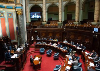 Comienza la discusión de la ley forestal en el Senado