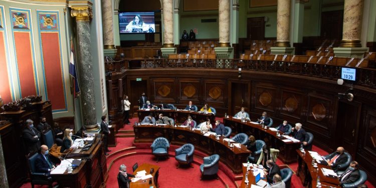 Comienza la discusión de la ley forestal en el Senado