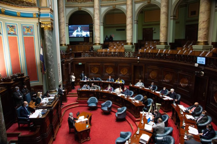 Comienza la discusión de la ley forestal en el Senado