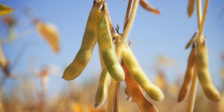 La fragilidad de la agricultura