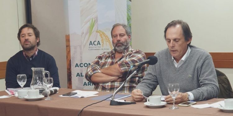 Streaming de arroceros: Asamblea extraordinaria de la ACA