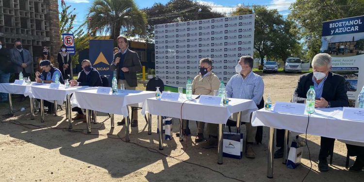 El presidente Lacalle inauguró la zafra de la caña de azúcar