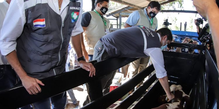 Proponen que Paraguay levante gradualmente la vacunación contra la aftosa