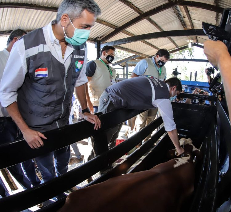 Proponen que Paraguay levante gradualmente la vacunación contra la aftosa