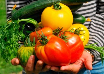 Blasina: el plan de Agroecología “debe ser inclusivo, laico y basarse en la ciencia”