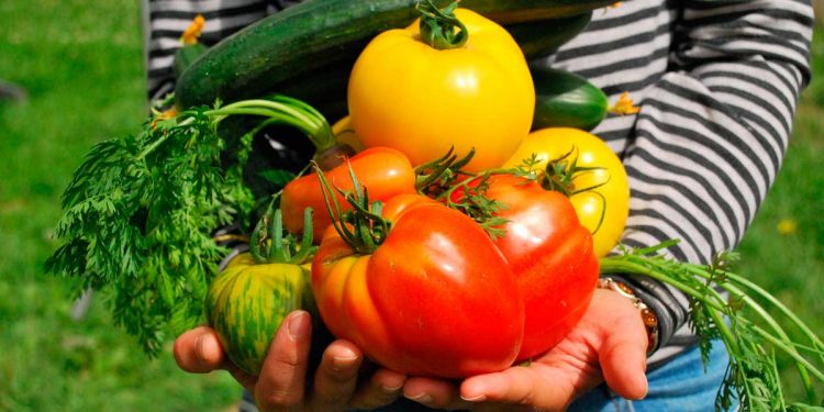 Blasina: el plan de Agroecología “debe ser inclusivo, laico y basarse en la ciencia”