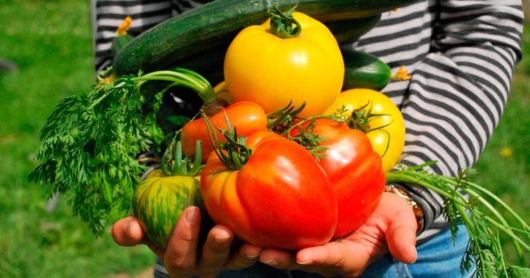 Blasina: el plan de Agroecología “debe ser inclusivo, laico y basarse en la ciencia”