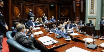 Esta semana el Senado trataría el proyecto interpretativo del artículo 45 de la Constitución