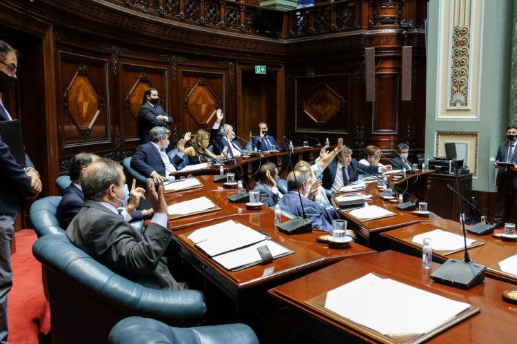 Esta semana el Senado trataría el proyecto interpretativo del artículo 45 de la Constitución