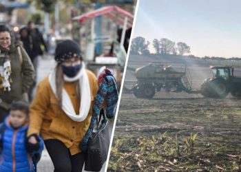 Días más cortos y fríos en la semana previa a la llegada del invierno