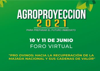Foro Virtual: PRO OVINOS, hacia la recuperación de la majada nacional y sus cadenas de valor