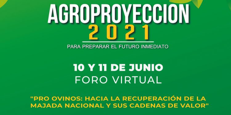 Foro Virtual: PRO OVINOS, hacia la recuperación de la majada nacional y sus cadenas de valor