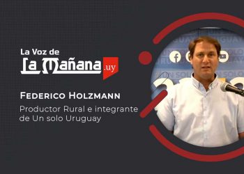 Holzmann: La comercialización de soja y la indefensa situación del productor