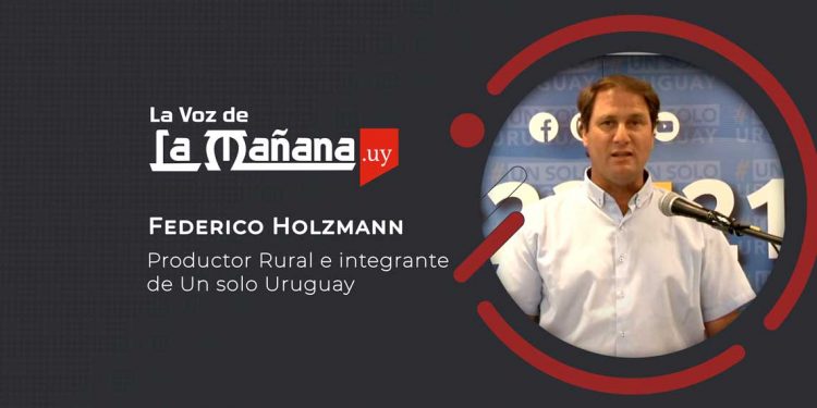 Holzmann: La comercialización de soja y la indefensa situación del productor