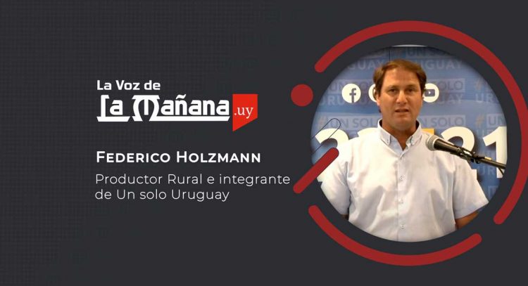 Holzmann: La comercialización de soja y la indefensa situación del productor