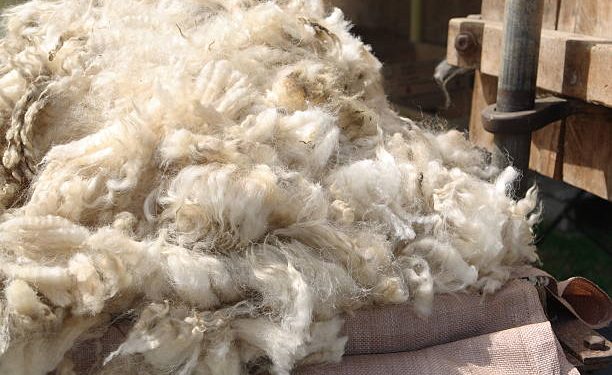 La lana se recupera y cerrando la semana a US$ 10,40