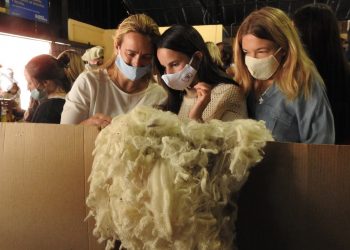 El precio internacional de la lana continúa su camino ascendente