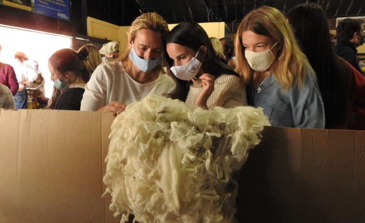 El precio internacional de la lana continúa su camino ascendente