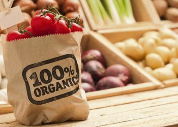 “En Uruguay no hay certificadora habilitada de productos orgánicos o ecológicos”