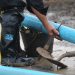 Trabajos realizados por OSE en Rivera generan reclamos
