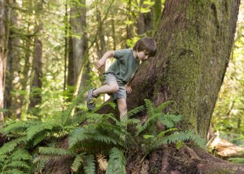 Un bunker al aire libre
