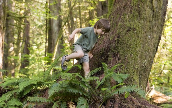 Un bunker al aire libre