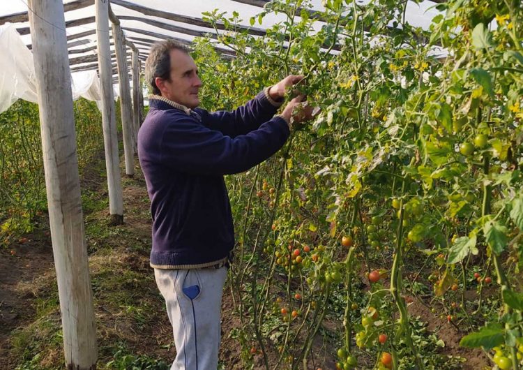 Salto podría perder el 25% de sus productores hortícolas