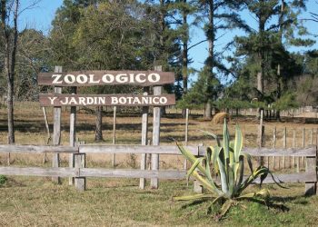 Jardín Botánico en Tacuarembó: Un sueño en camino