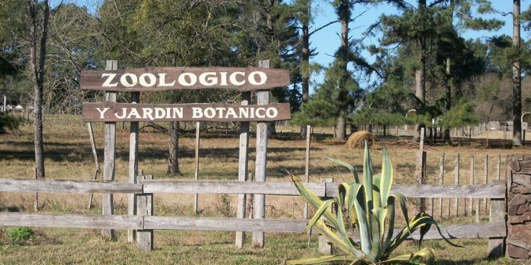 Jardín Botánico en Tacuarembó: Un sueño en camino