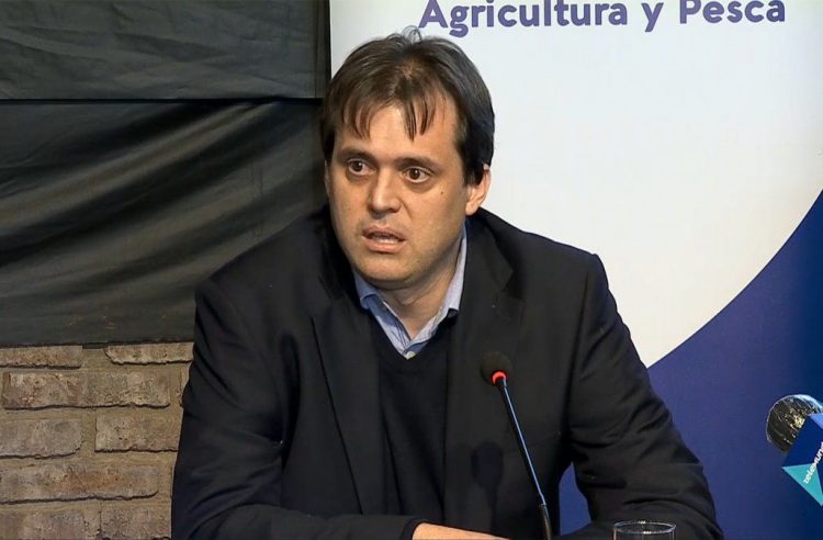 Ing. Nicolás Chiesa: “Todo funciona en competencia”