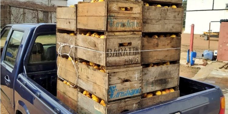 Cooperativas agrarias y granjeros familiares donan alimentos para ayudar a paliar la crisis