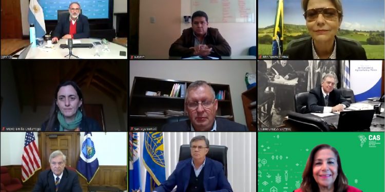 La Cumbre sobre los Sistemas Alimentarios y la defensa sudamericana de la carne