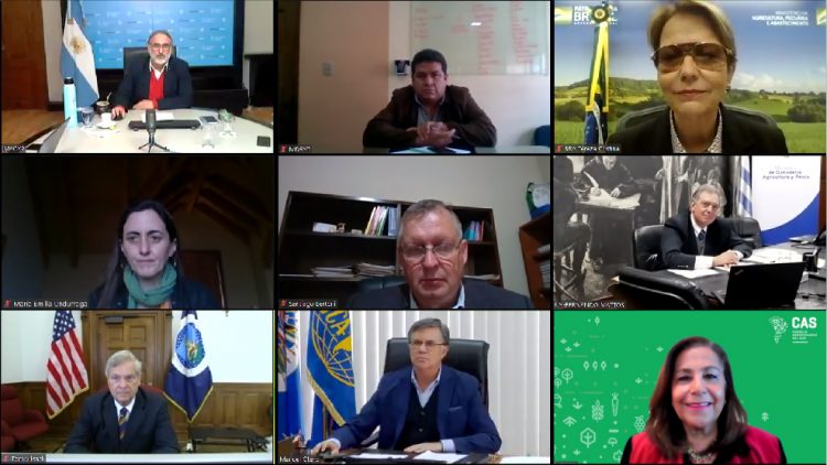 La Cumbre sobre los Sistemas Alimentarios y la defensa sudamericana de la carne