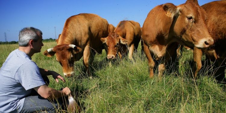La ganadería cumple un rol alimenticio y social que no puede ser sustituido