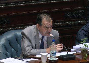 Manini Ríos: “el sector forestal está altamente subsidiado por todos los uruguayos”