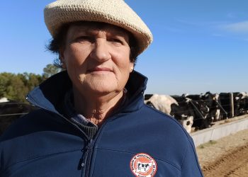 Productores de leche de Florida desarrollan nuevo sistema productivo de recría