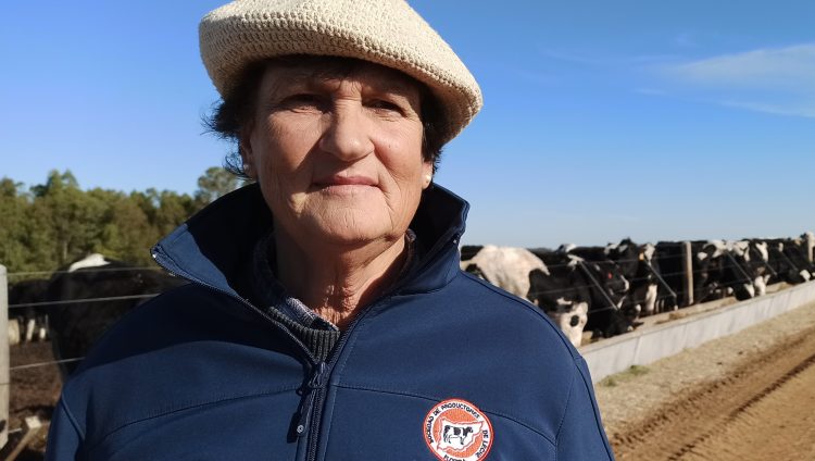 Productores de leche de Florida desarrollan nuevo sistema productivo de recría