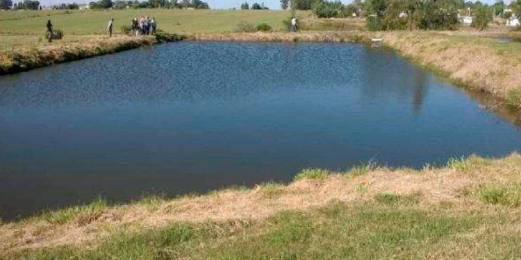 Efluentes en el tambo, residuo o recurso?