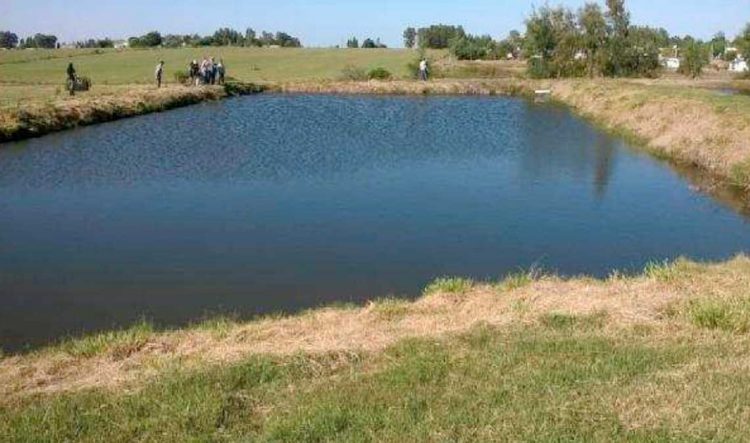 Efluentes en el tambo, residuo o recurso?