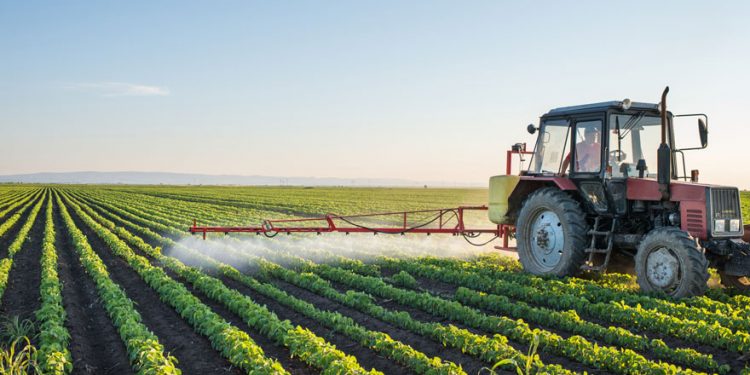 El MGAP abrió convocatoria a productores para plan piloto sobre seguros agrícolas