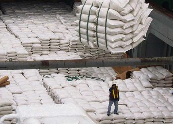 Arroz: ¿Qué estrategias para que escenario?